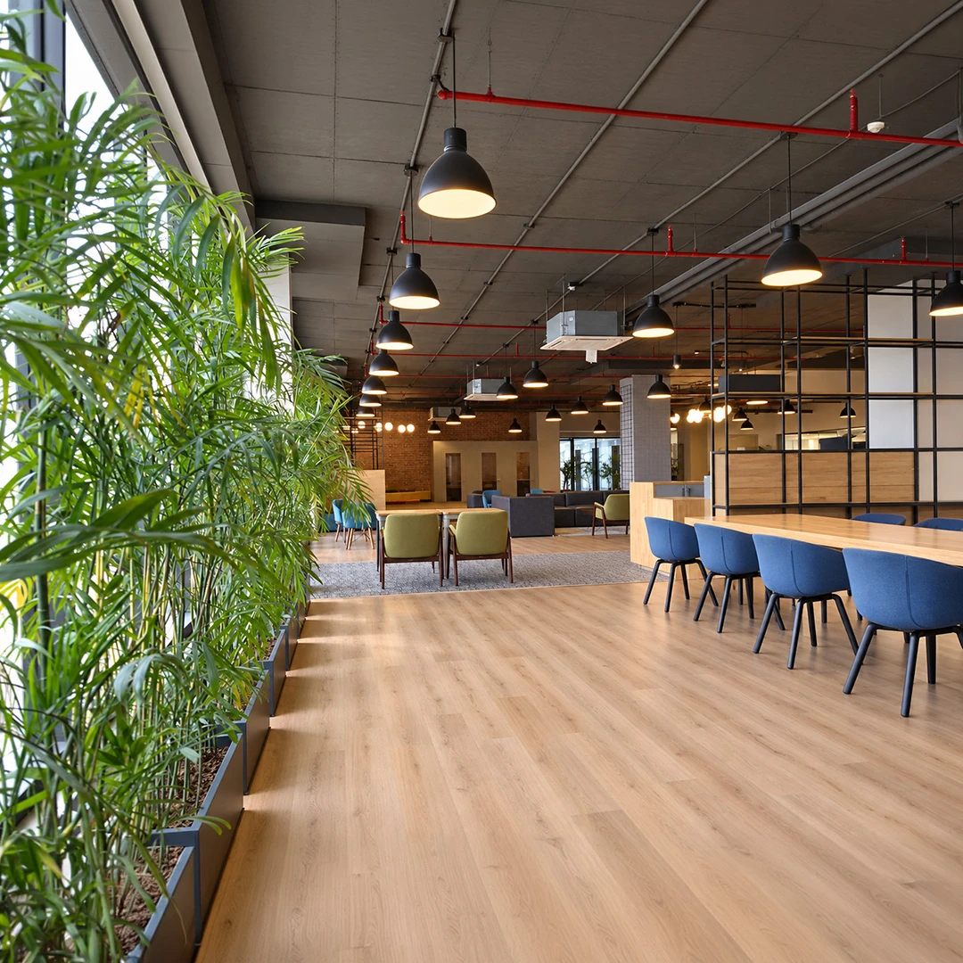 Plus Office