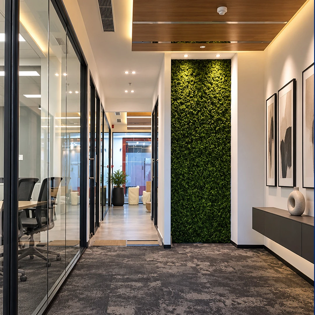 Offxy Office